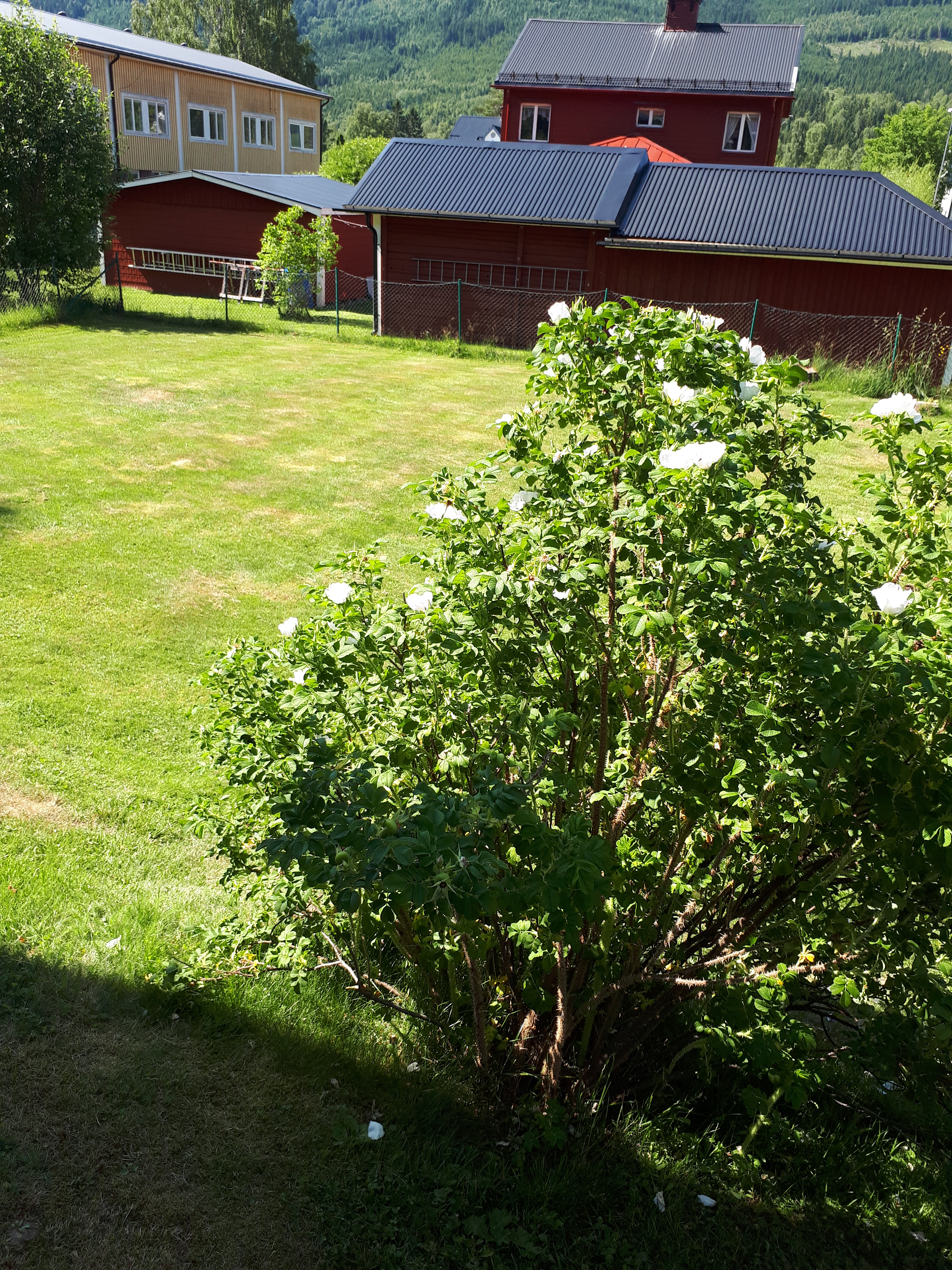 Villavägen 20 B, 680 60, Sysslebäck 3