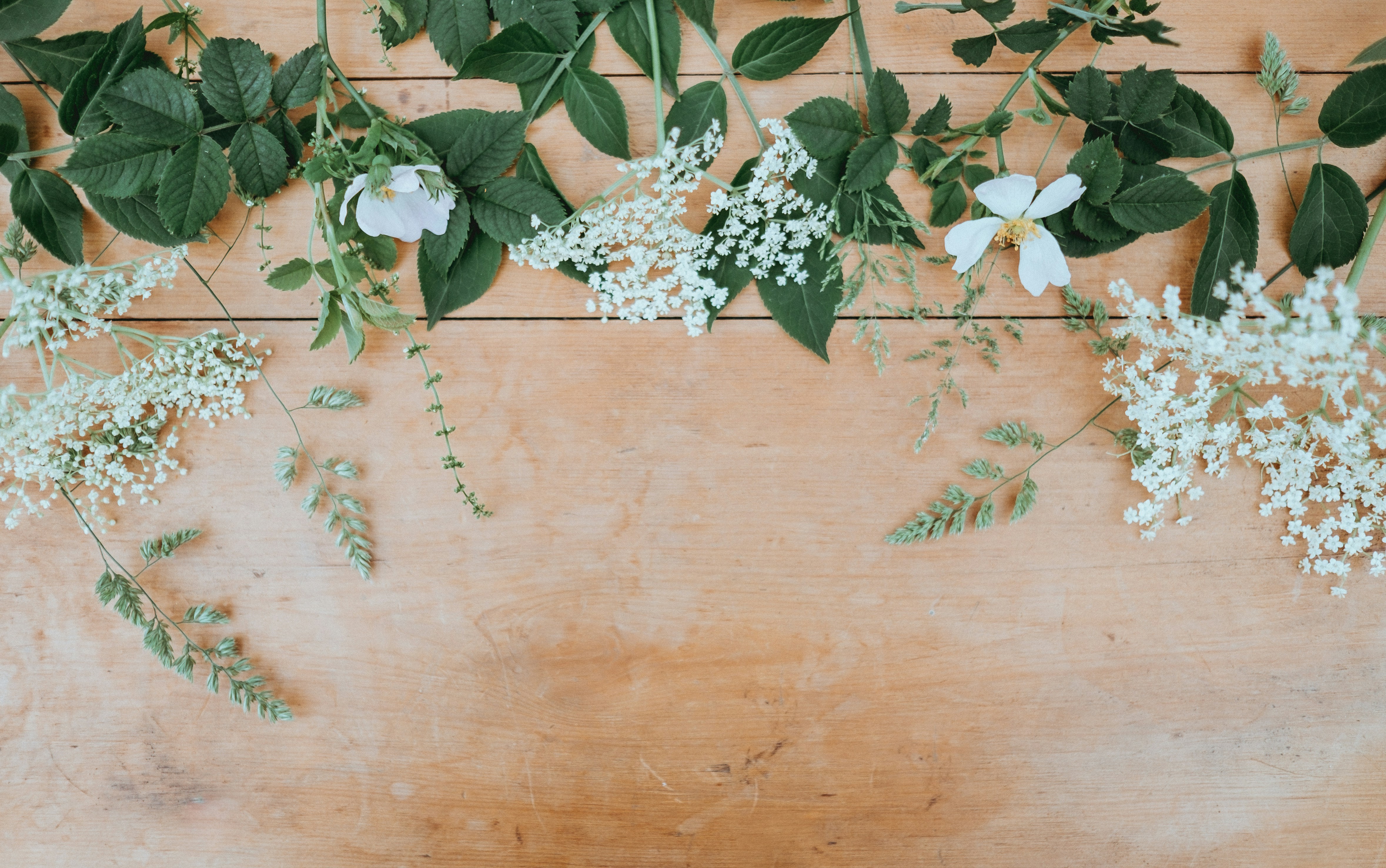 Bild av blommor